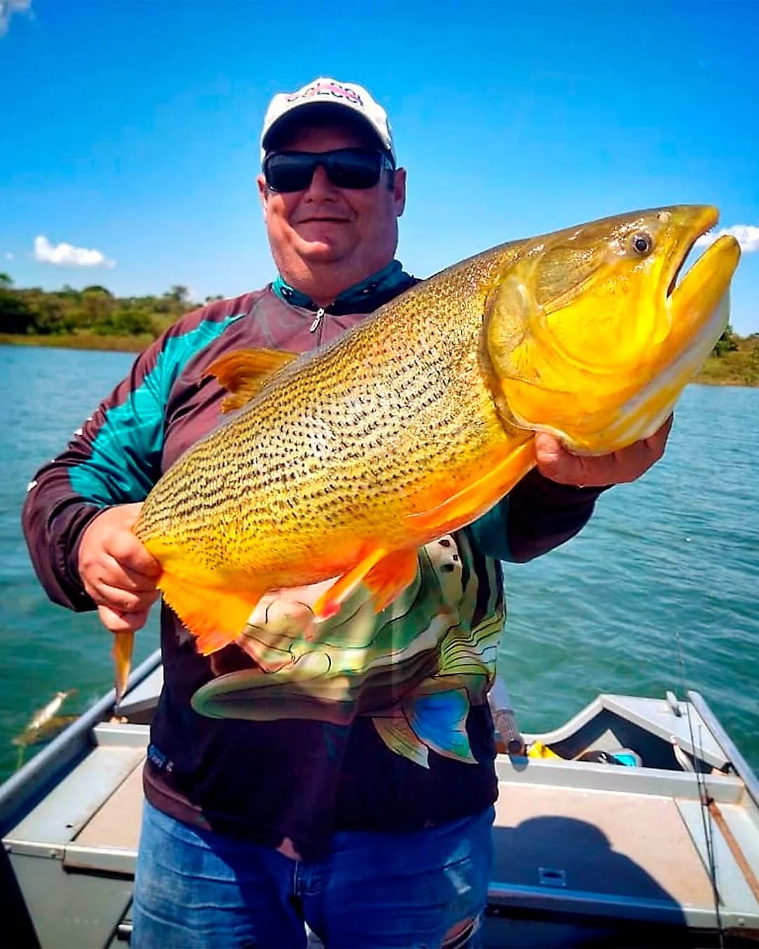 Pescador com dourado pescado no Rio Paraná
